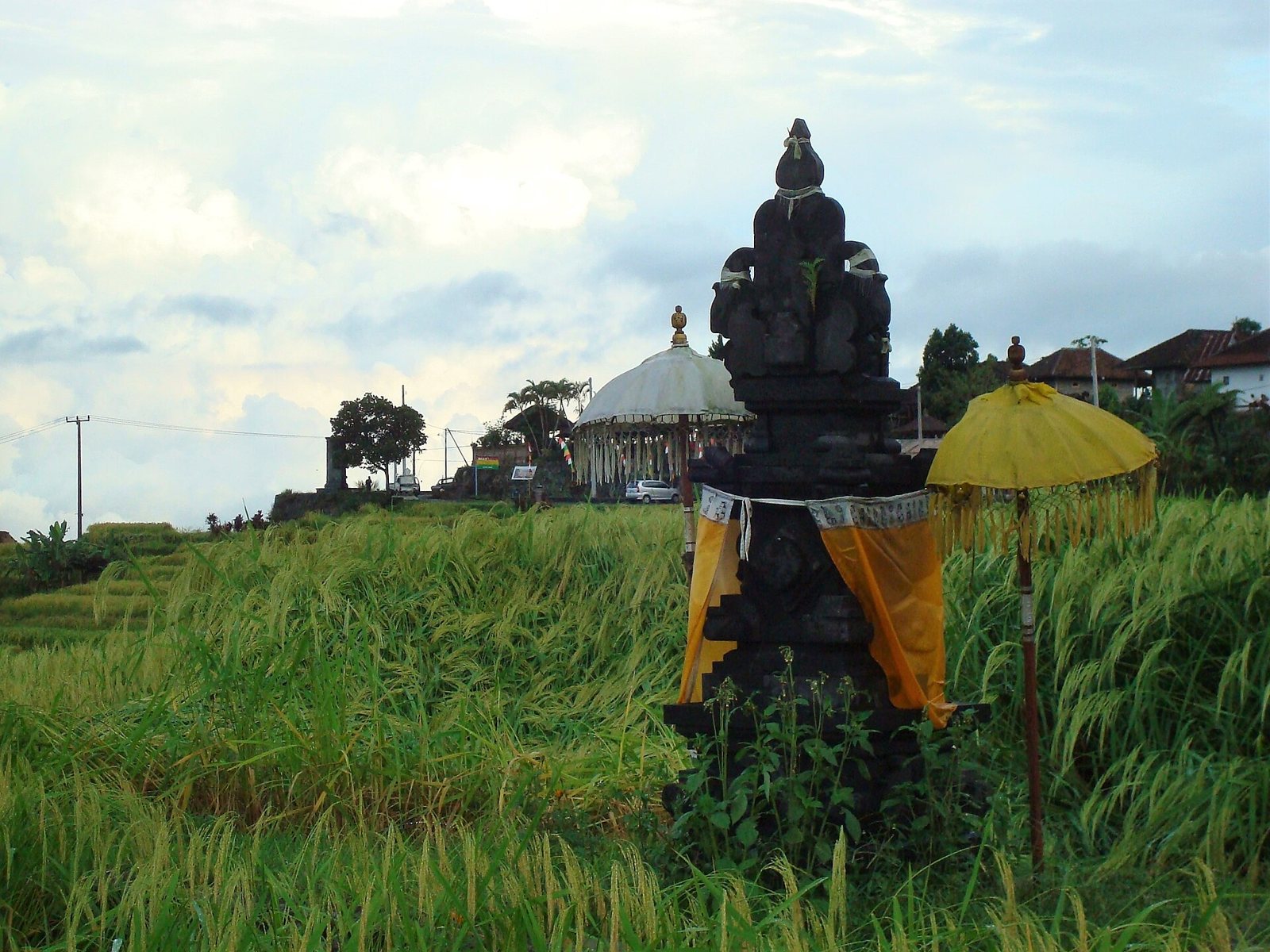Shrine in the rice fields near Mount Batukaru