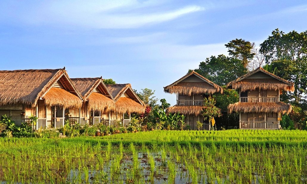 Thatched bungalows among the rice fields at Bali Silent Retreat